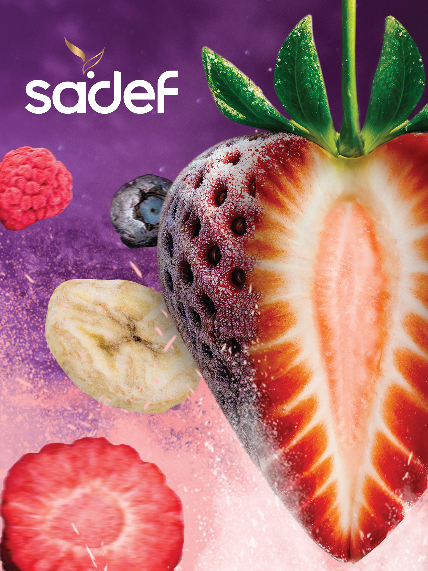 Sadef Gıda Kurumsal Kataloğu